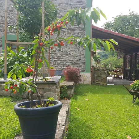 - La Pumarada De Limes I Landhaus Cangas De Narcea